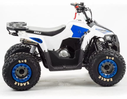 Квадроцикл MZ Eagle 110, фото 4 Квадроцикл MZ Eagle 110, фото 4