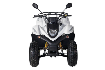 Квадроцикл BALTMOTORS Jam 100, фото 4