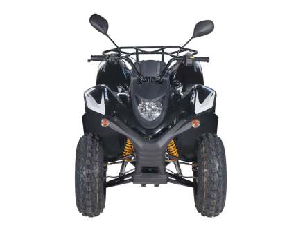 Квадроцикл BALTMOTORS Jam 100, фото 3