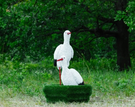 Топиари Аисты в гнезде, семья газон Deluxe, фото 10