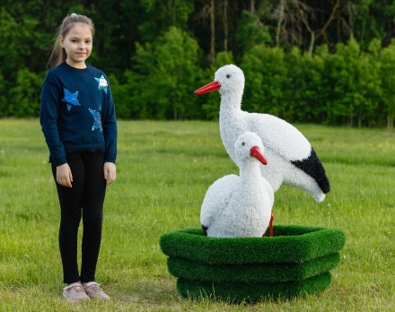 Топиари Аисты в гнезде, семья газон Deluxe, фото 2