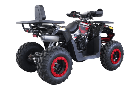 Квадроцикл HUNTER 250, фото 2