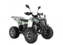 Квадроцикл WELS Thunder EVO LUX X 125 Квадроцикл WELS Thunder EVO LUX X 125
