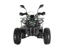 Квадроцикл WELS Thunder EVO LUX X 125 Квадроцикл WELS Thunder EVO LUX X 125