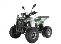 Квадроцикл WELS Thunder EVO LUX X 125 Квадроцикл WELS Thunder EVO LUX X 125