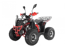 Квадроцикл WELS Thunder EVO LUX X 125 Квадроцикл WELS Thunder EVO LUX X 125