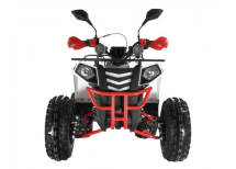 Квадроцикл WELS Thunder EVO LUX X 125 Квадроцикл WELS Thunder EVO LUX X 125