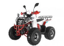 Квадроцикл WELS Thunder EVO LUX X 125 Квадроцикл WELS Thunder EVO LUX X 125