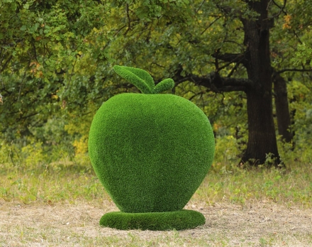 Топиари яблоко - газон Eco, фото 1