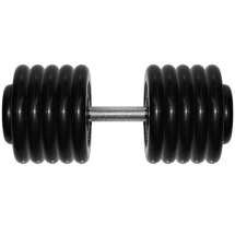 Гантель Barbell 56 кг профи