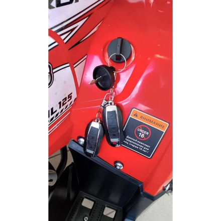 Квадроцикл WELS ATV Trail 125 Pro (алюм. диски), фото 8
