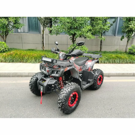 Квадроцикл MOTAX ATV Grizlik T200 Lux, фото 7