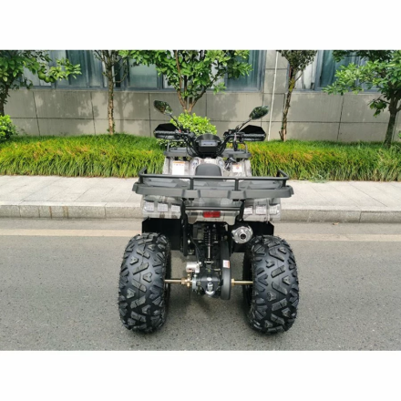 Квадроцикл MOTAX ATV Grizlik T200 Lux, фото 5