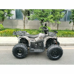 Квадроцикл MOTAX ATV Grizlik T200 Lux, фото 3