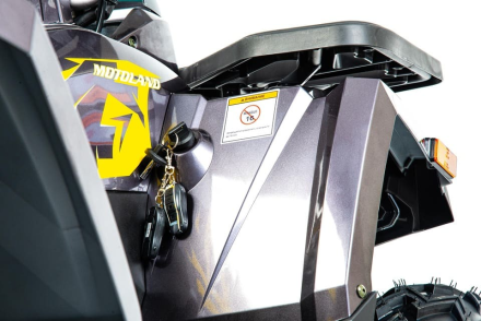 Квадроцикл MOTOLAND 200 Wild Track X Pro (2022), фото 11