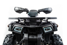 Квадроцикл MOTOLAND 200 Wild Track X Pro (2022)