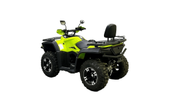 Квадроцикл BISON 330L, фото 4