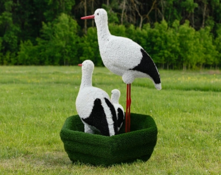 Топиари Три аиста в гнезде, семья - газон Eco, фото 3