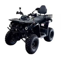 Квадроцикл BISON Forest 200 Lux Квадроцикл BISON Forest 200 Lux