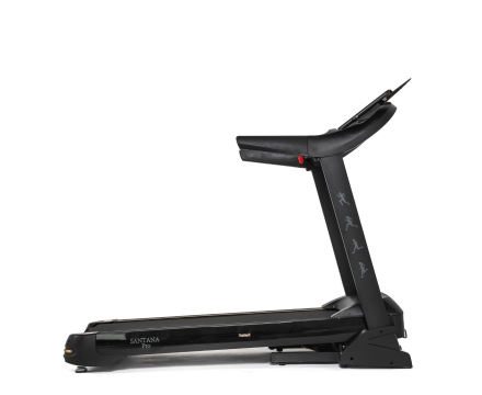 Беговая дорожка DFC SANTANA Pro T757, фото 3