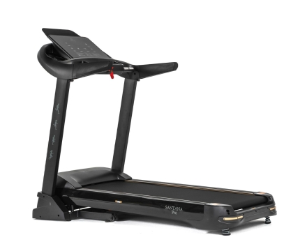 Беговая дорожка DFC SANTANA Pro T757, фото 1
