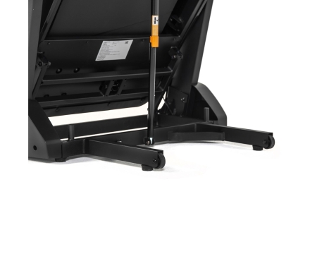 Беговая дорожка DFC SANTANA Pro T757, фото 5