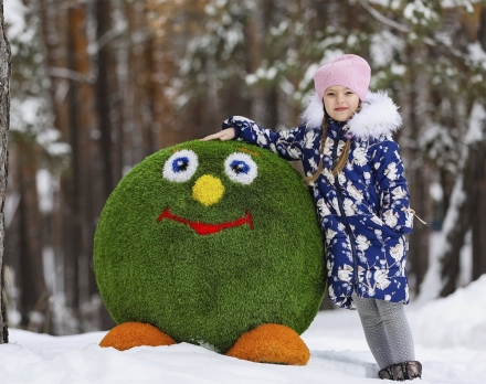 Топиари смайлик В шляпе - газон Premium, фото 4