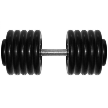 Гантель Barbell 58,5 кг профи