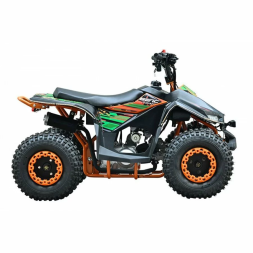 Квадроцикл WELS ATV Tukah 110, фото 4