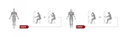 Бицепс/Трицепс - машина DWS117-U2				, фото 5