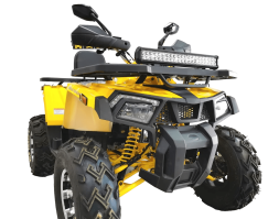 Квадроцикл BISON Track X PRO, фото 3