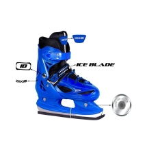 Коньки раздвижные Dixie