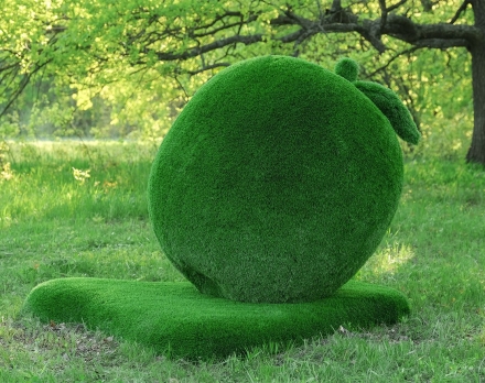 Топиари яблоко Гренни - газон Eco Green, фото 2