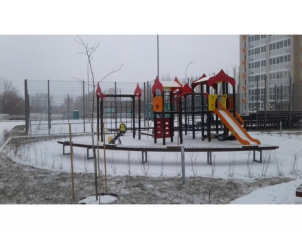 Детский игровой комплекс Поляна ДИО 08000, фото 4