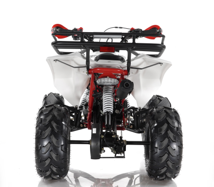 Квадроцикл MOTAX ATV Raptor Super LUX 125 cc, фото 4