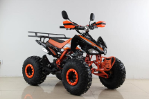 Квадроцикл MOTAX ATV T-Rex Super LUX 50 cc
