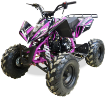 Квадроцикл MOTAX ATV T-Rex Super LUX 50 cc