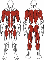 Наездник (серый) - Уличный тренажер - СТ 033-13.П , фото 6