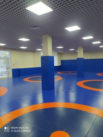 Ковёр борцовский 10х10х0,04 м, эквивалентно пл.160 кг/м3 (ППЭ/НПЭ, одноцветный) СТП-103, фото 3