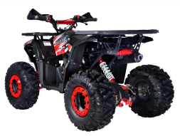 Квадроцикл GLADIATOR H125 Lux, фото 3 Квадроцикл GLADIATOR H125 Lux, фото 3