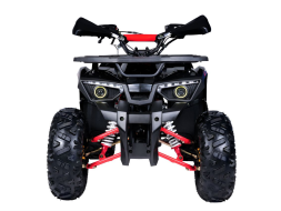 Квадроцикл GLADIATOR H125 Lux, фото 2 Квадроцикл GLADIATOR H125 Lux, фото 2