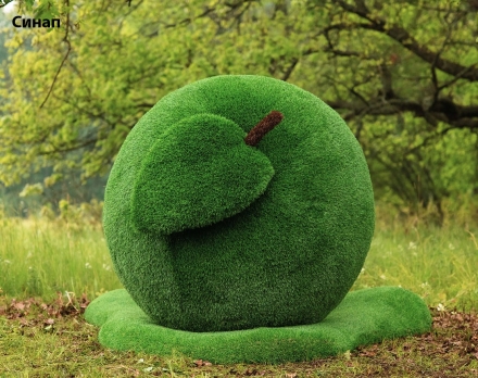 Топиари яблоко Розмарин - газон Deluxe + Eco, фото 3