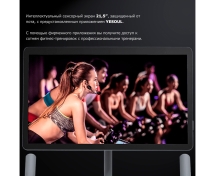 Велотренажер Yesoul BS3-B PRO PLUS Велотренажер Yesoul BS3-B PRO PLUS