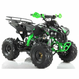 Квадроцикл MOTAX ATV Raptor Super LUX 125 сс, фото 13