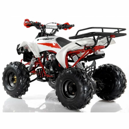 Квадроцикл MOTAX ATV Raptor Super LUX 125 сс, фото 9