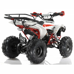 Квадроцикл MOTAX ATV Raptor Super LUX 125 сс, фото 4
