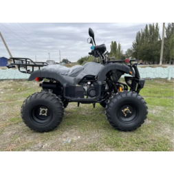 Квадроцикл Millennium ATV-200B1, фото 9 Квадроцикл Millennium ATV-200B1, фото 9