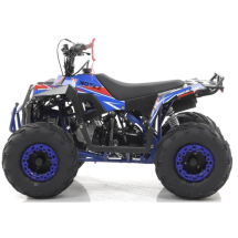 Квадроцикл MOTAX GRIZLIK A110