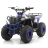 Квадроцикл MOTAX GRIZLIK A110