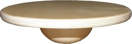 Балансир-диск &quot;Ранний старт&quot;, фото 1